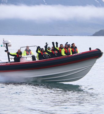 Arctic Whale Watching